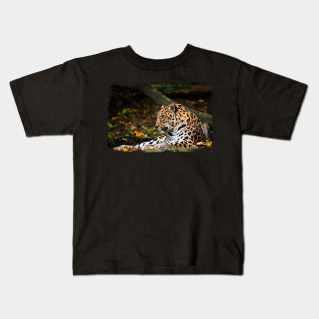 Amur Leopard Kids T-Shirt by Photomisak72